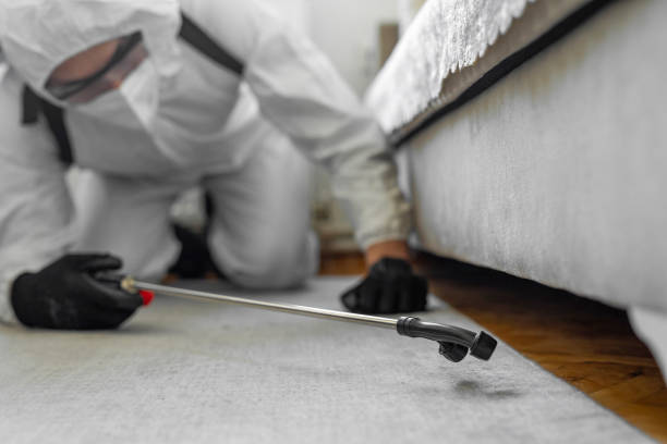 Professional Cockroach Control technician working in Prague, OK