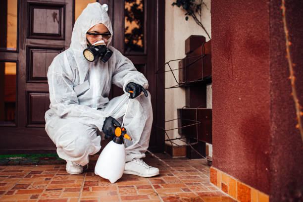 Reliable Cockroach Control contractor in Prague, OK by Nex Pest Control